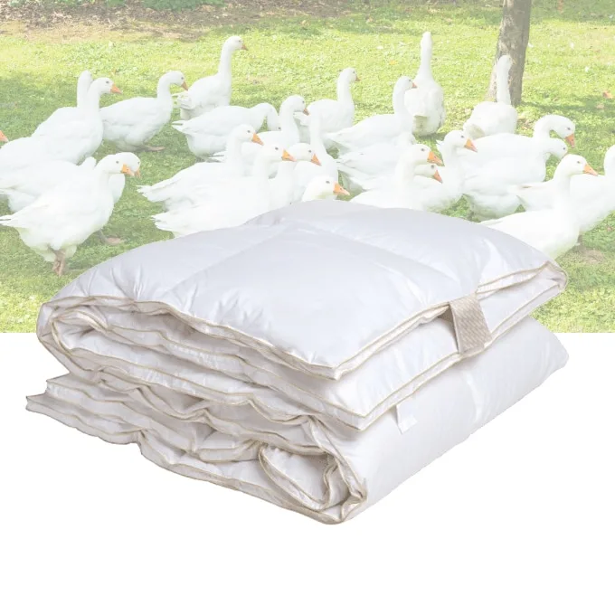 Dekbed-90procent-Ganzendons2-4-seizoenen.jpg 4 Seizoenen dekbed - 90% ganzendons