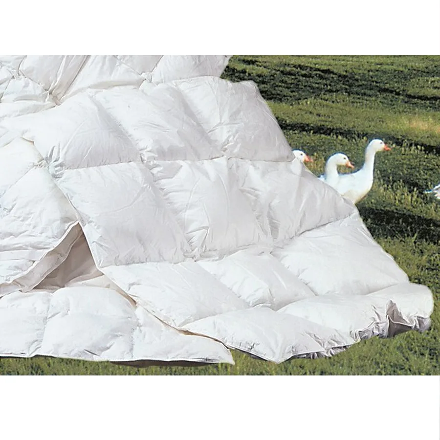 duvet-inserts-900x900-1.jpg